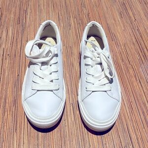 Toms white sneakers size 6.5